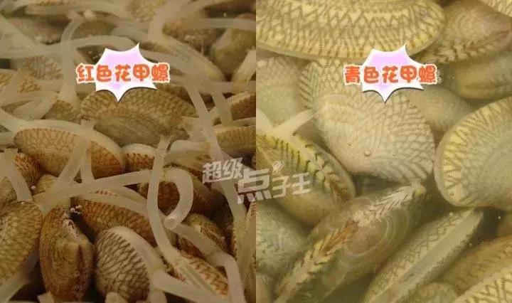 火爆花甲最正宗的做法,火爆花甲教程香辣