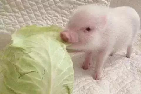 有些事只怪自己懂得太晚,有些事情能忍但有些事情绝不能忍