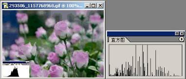 数码单反摄影教程,数码单反摄影进阶完全教程