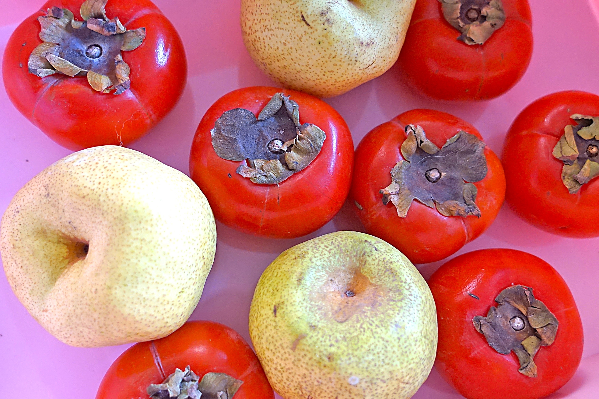 简单快捷的柿子去涩法,柿子快速脱涩小窍门