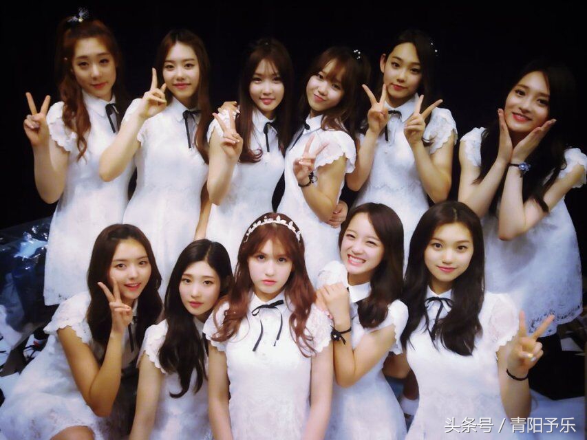 寿命只有1年出道即大势，作品横扫各大榜单，团散魂在的神奇组合