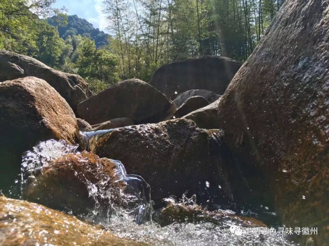 竹海扬波，溪山飞瀑｜心花开放在幽篁里