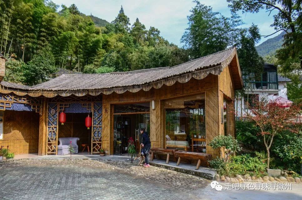 竹海扬波，溪山飞瀑｜心花开放在幽篁里