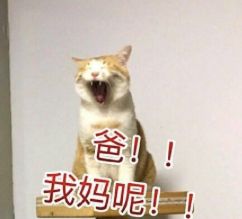 藕汤被“下药”，代购假“直播”，转发谣言能赚钱……