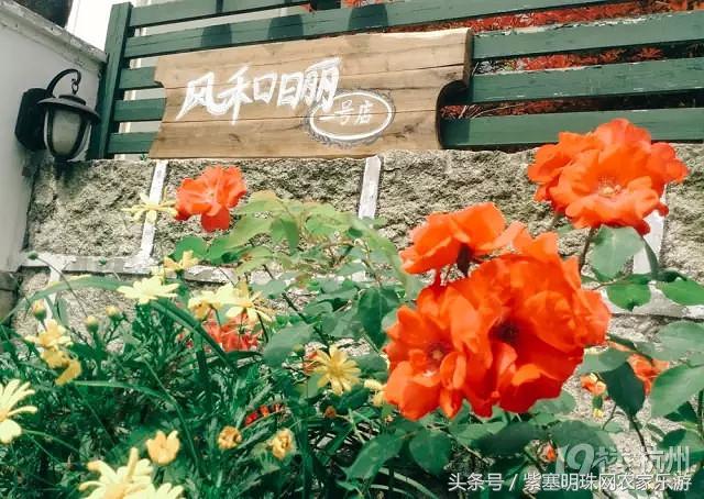 冬天临安特色游玩民宿,蓟州紫塞明珠农家院