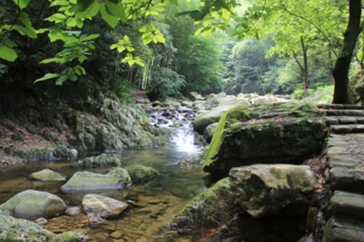 余姚附近自驾游一日游景点,余姚游玩免费景点推荐