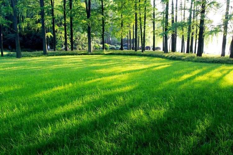 12生肖2019年运势抢先看,12生肖2019年每日运势怎样