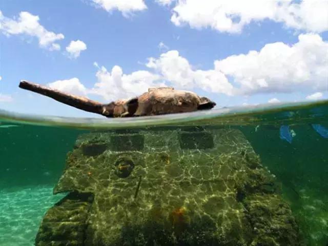 这里到底有什么特别之处,让众多明星沉迷在此?