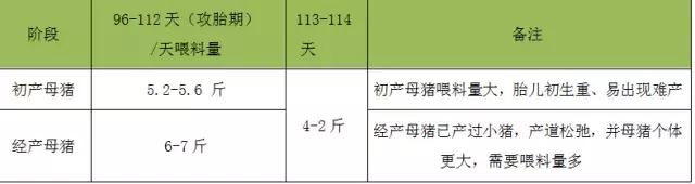 母猪怀孕后饲养方法,怀孕母猪各个阶段正确饲养方法