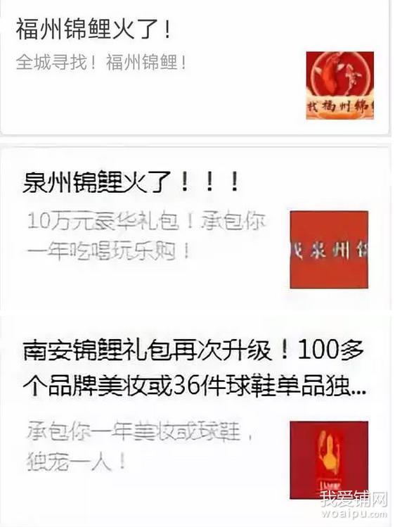 锦鲤到底什么套路,合肥锦鲤是什么