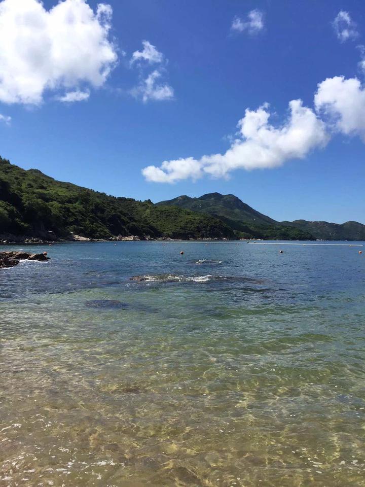 香港游记在线观看,香港游记维多利亚港