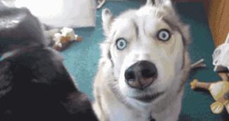 避孕套是一次性的，竟有人洗了反复用！