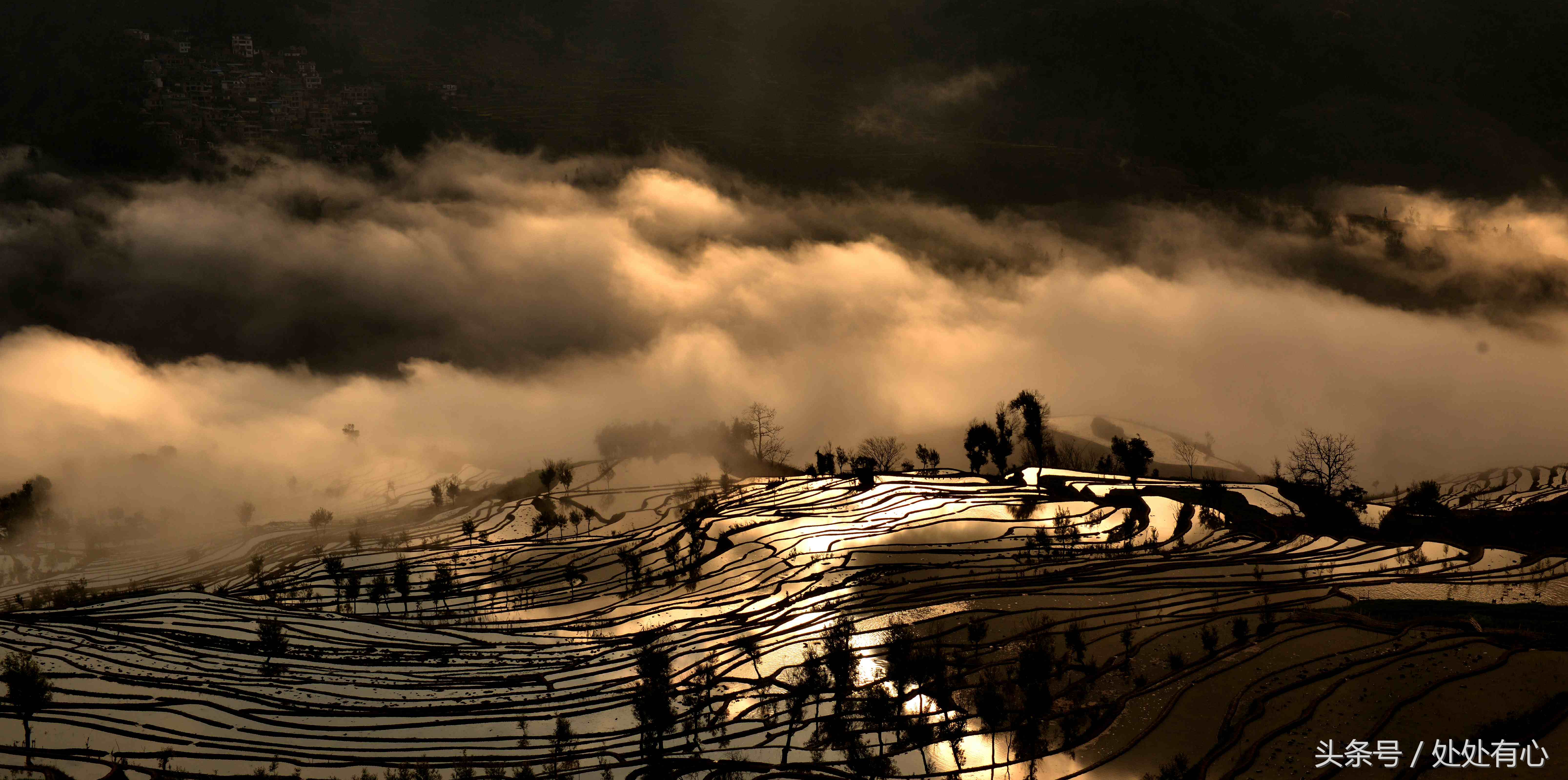 老人常说吃杂粮,老人说吃饭要吃烫的对吗