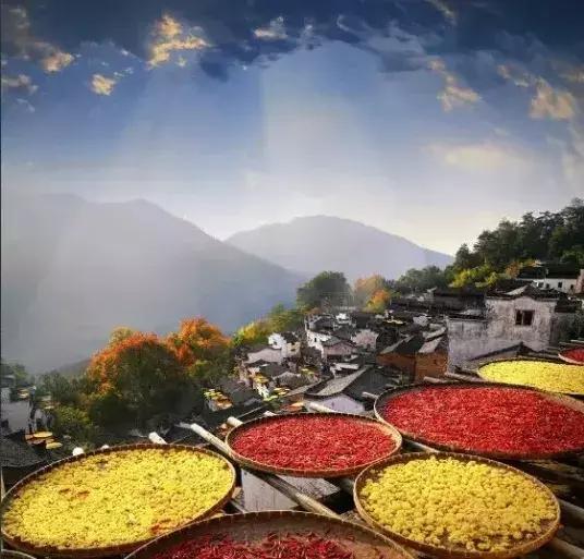 又见重阳原唱完整版,又见重阳歌曲完整版