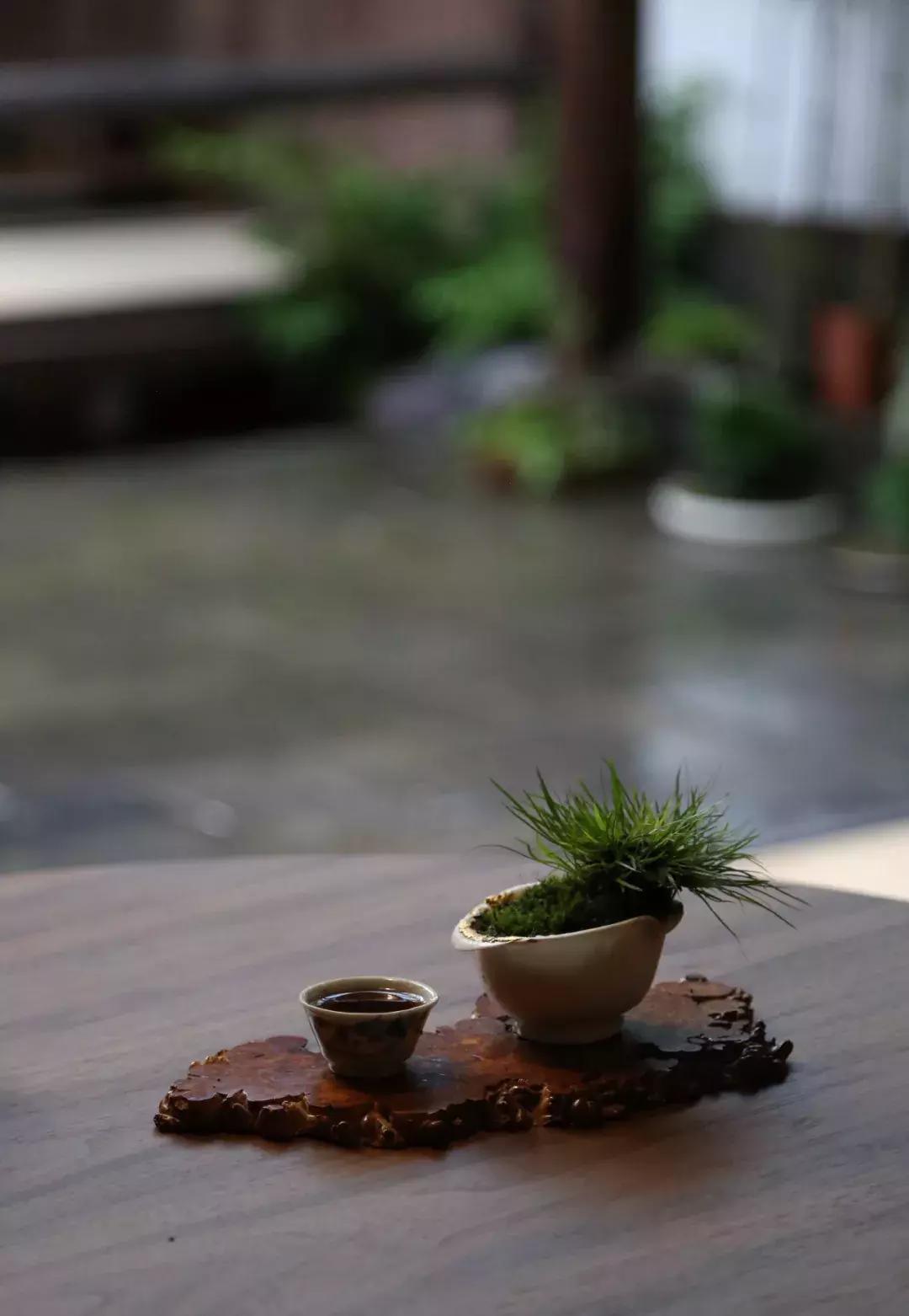 经典丨水深浪静，人贵声低！