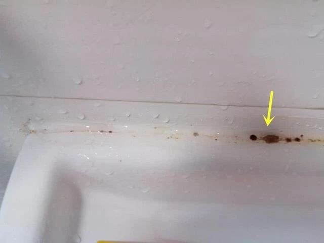 有没有不含甲醛的玻璃胶,有没有不长霉的玻璃胶