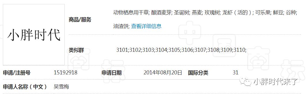 你们心心念的小胖时代，已经悄悄开业啦啦啦~