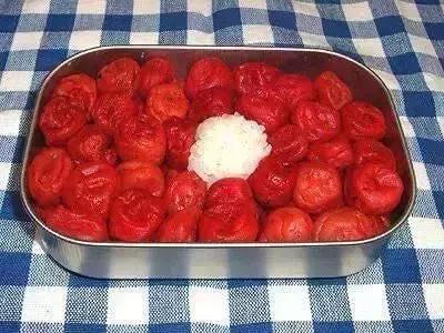 日本恶妻便当,日本人评论恶妻便当