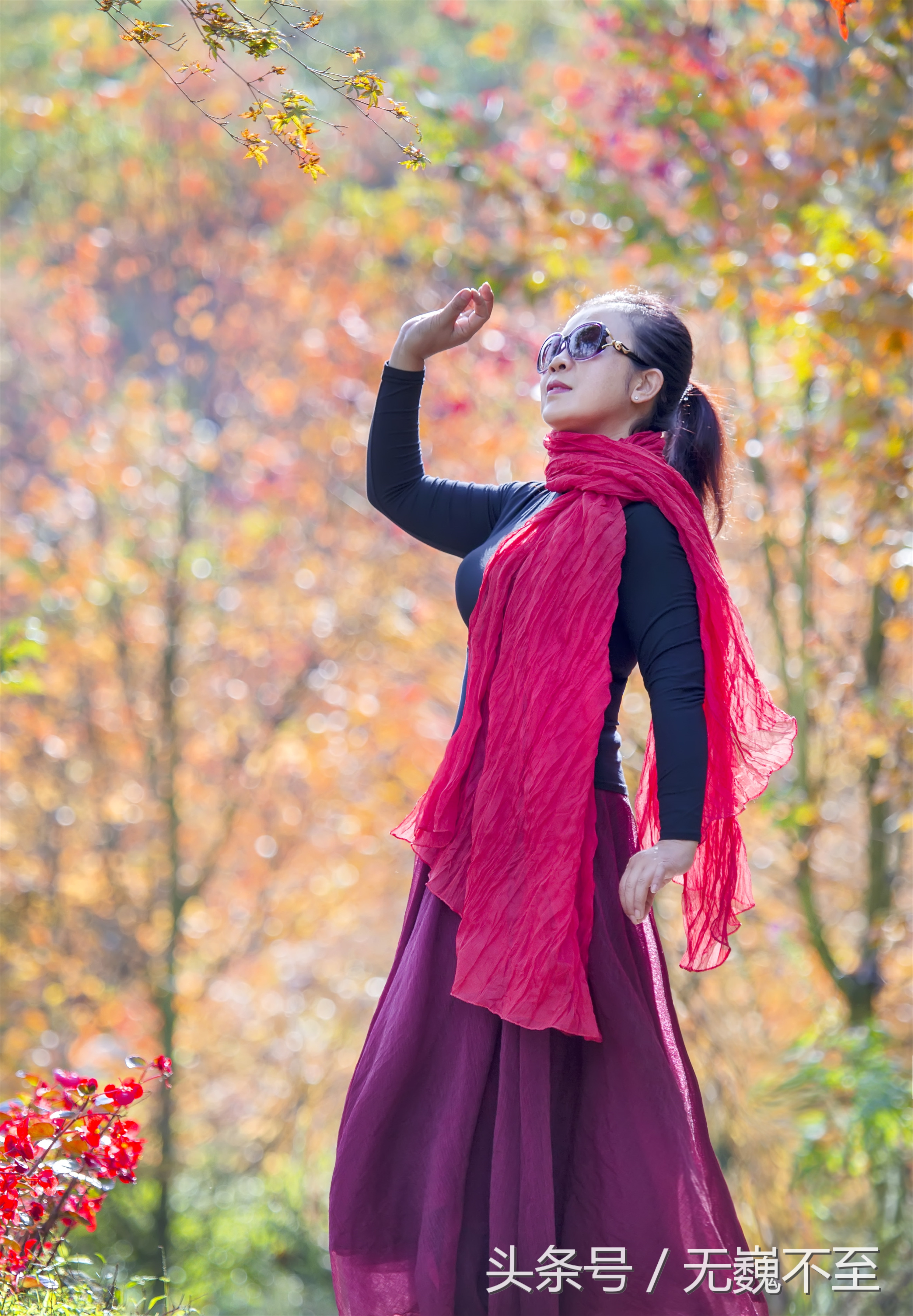 川西红枫岭赏红叶美景,成都红枫岭