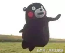 肯德基新汉堡优惠券,肯德基汉堡9.9活动