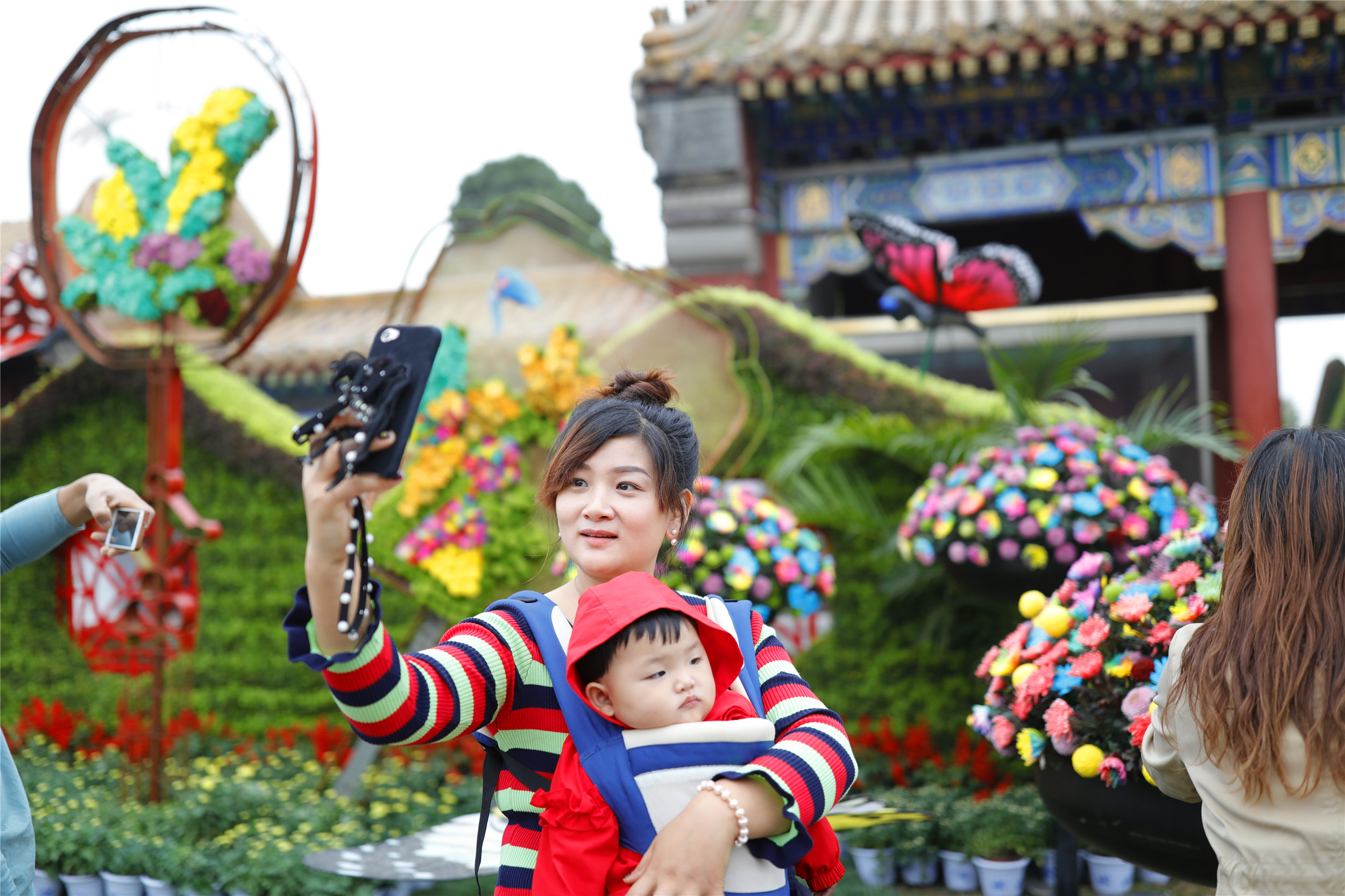 开封清明上河园龙亭两日游,自由行说走就走的旅行开封赏菊