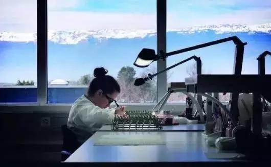 哪一款皇家橡树最值入手,皇家橡树哪个性价比高