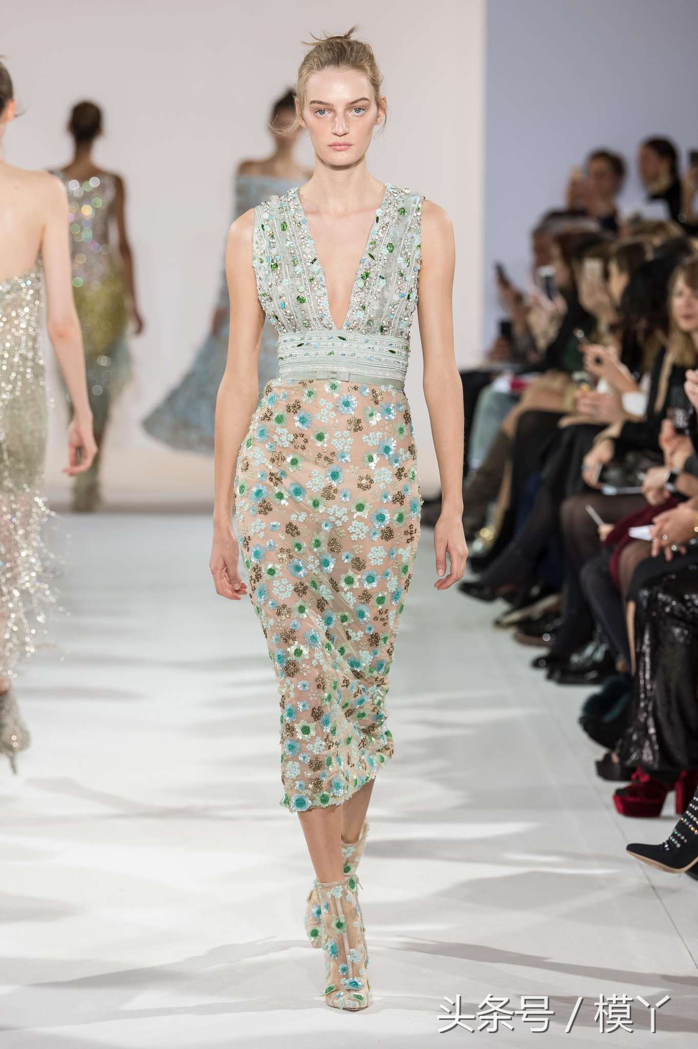 celiakritharioti楂樺畾,celiakritharioti濠氱罕