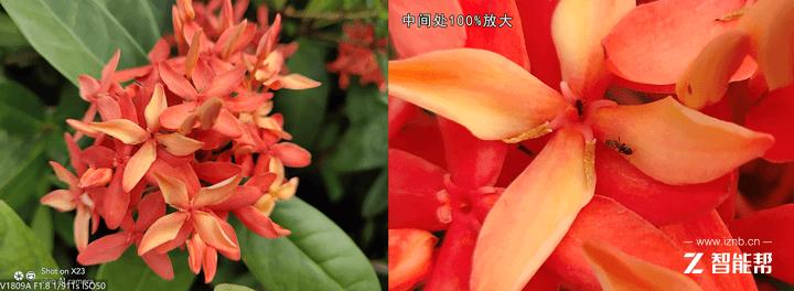 vivox23全面评测,vivox23个人评测别无他意