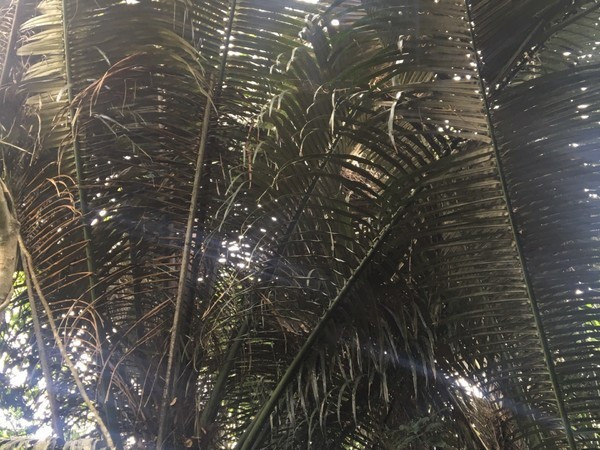 三亚的海景特别美，闺蜜自由行攻略