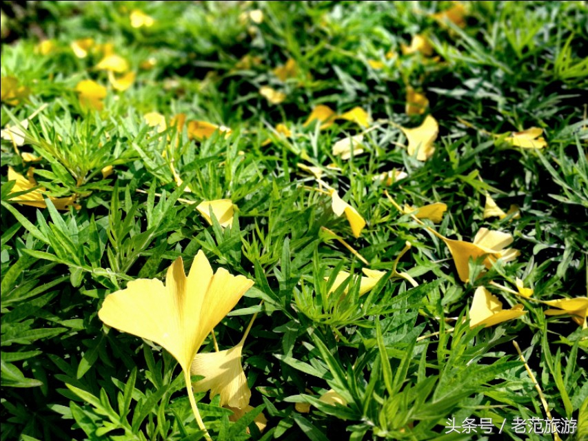 赏山赏水享人生,赏景温泉