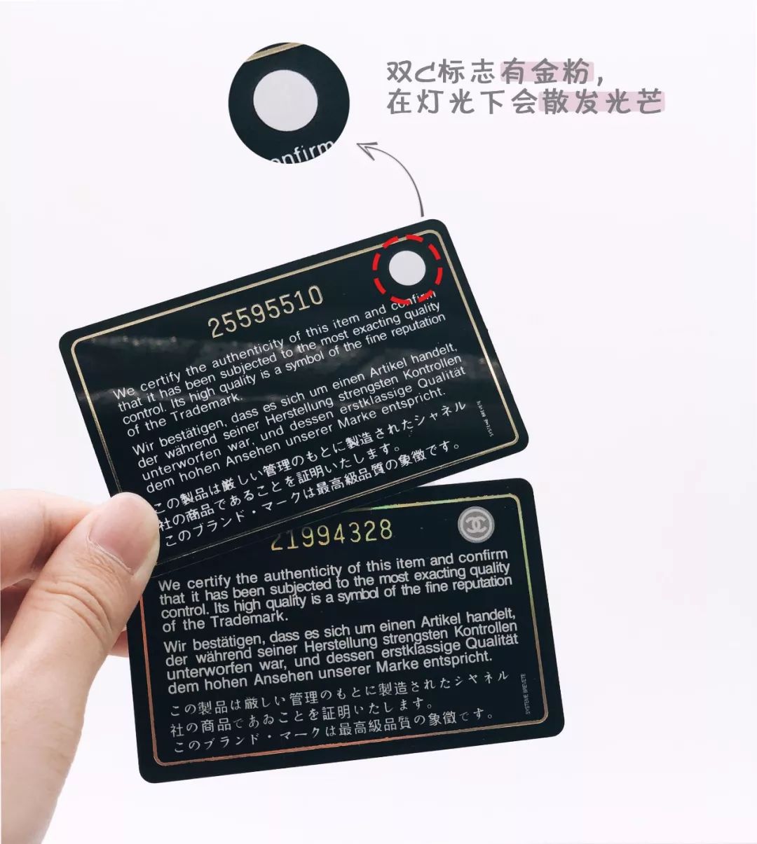 鉴定假古董被打脸,鉴宝专家砸2亿真品原视频