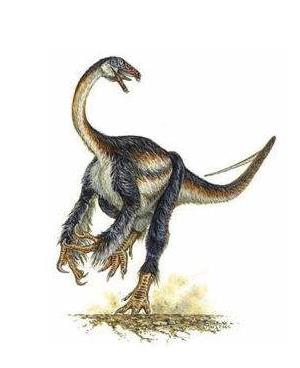 科学家发现的5种诡异生物,科学家发现奇怪的恐龙