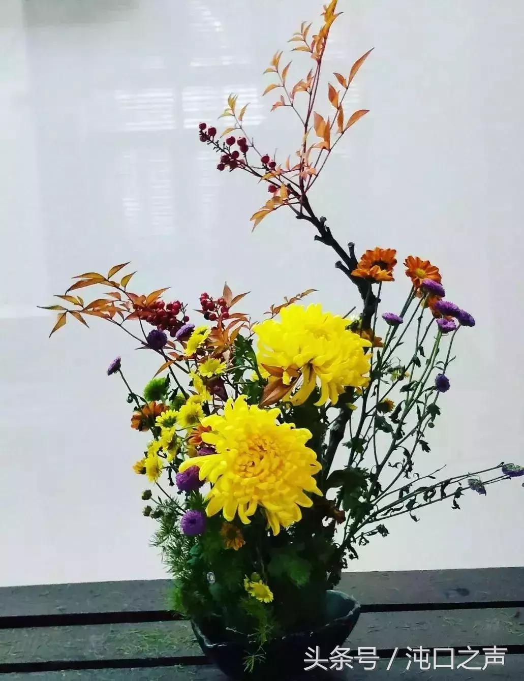 武汉第四十届菊展分别在哪里,武汉江滩第三十八届金秋菊展