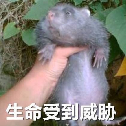 如果对象说感冒了怎么回,如果对象感冒了该怎么做