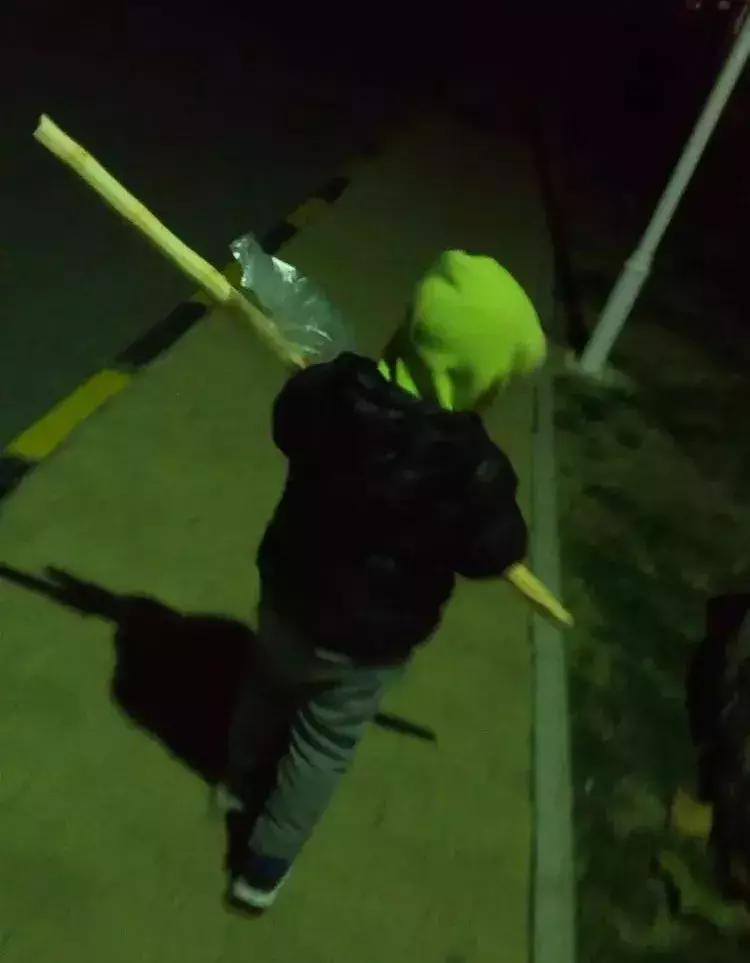 舍不得删的30张图片,几千张照片不舍得删除