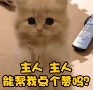 如果对象说感冒了怎么回,如果对象感冒了该怎么做