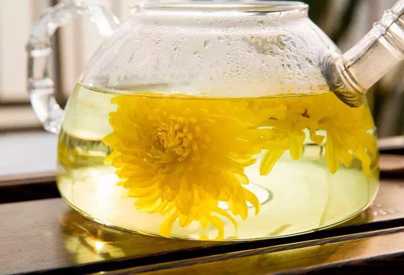 菊花都有哪些作用和功效,各种菊花都有什么功效