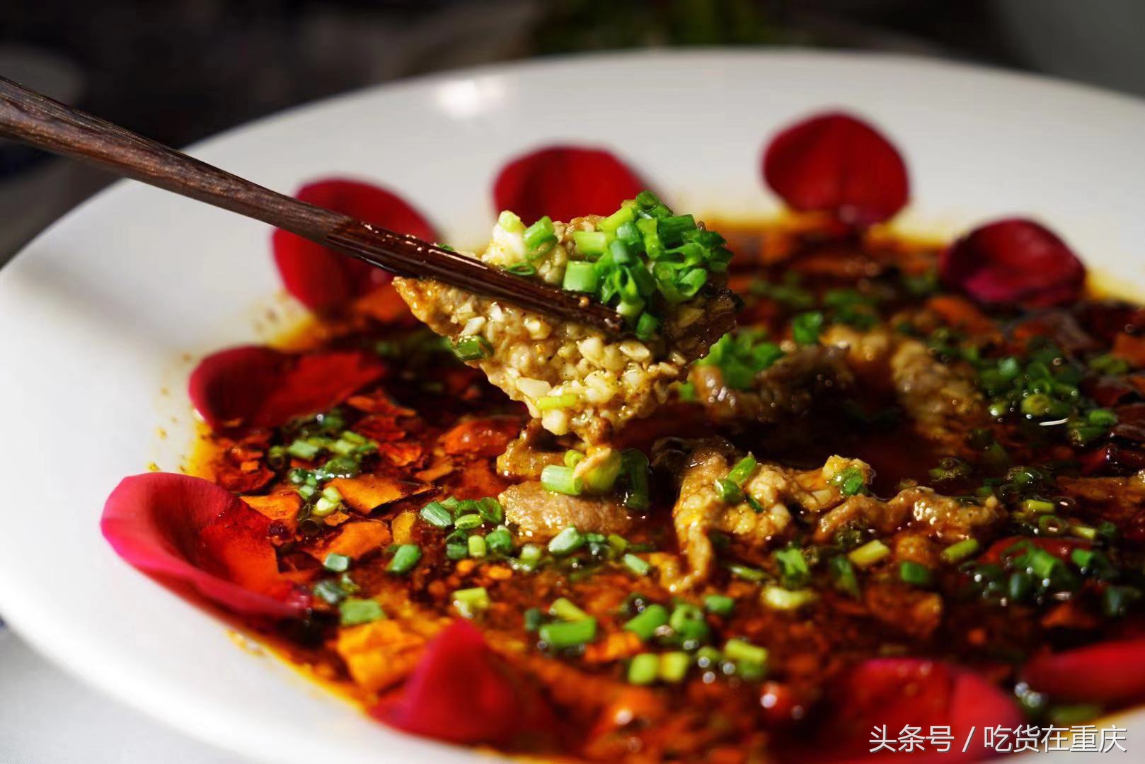 两江交汇灯光璀璨,两江交汇处的多彩风情