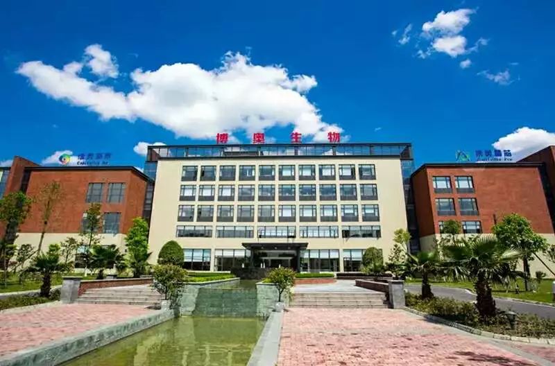 金温江介绍,金温江最新消息