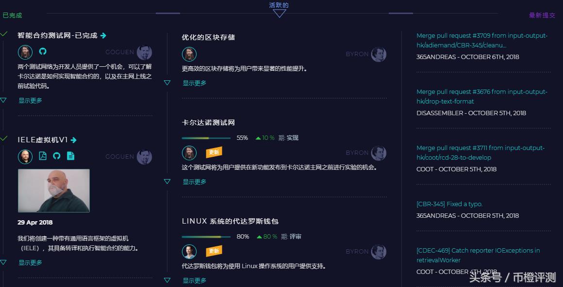 「币橙评测」ADA-学术的帽子底下或许是匹狼