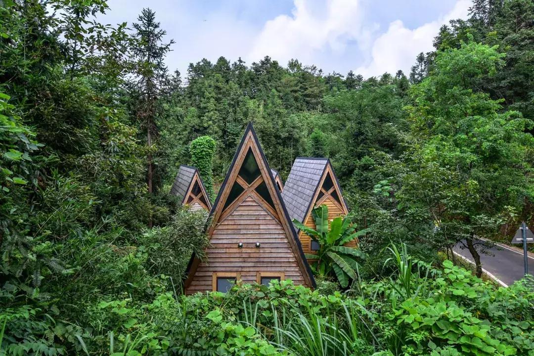 这片媲美京都的红叶之森只藏15栋梦幻树屋，杭州1.5h直达！