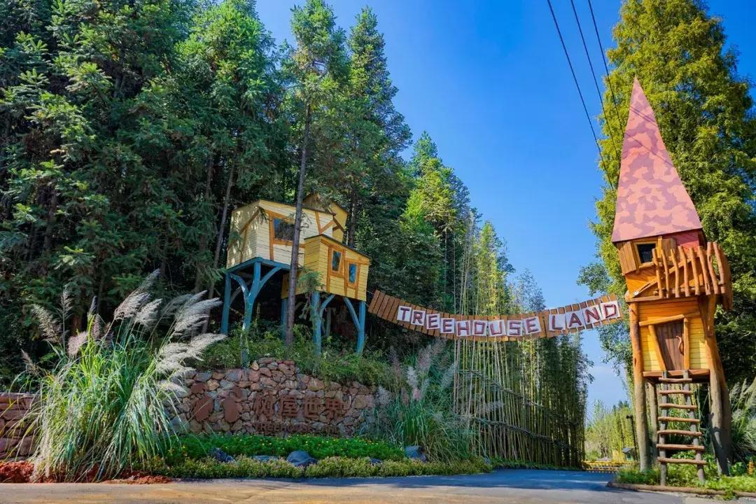 这片媲美京都的红叶之森只藏15栋梦幻树屋，杭州1.5h直达！