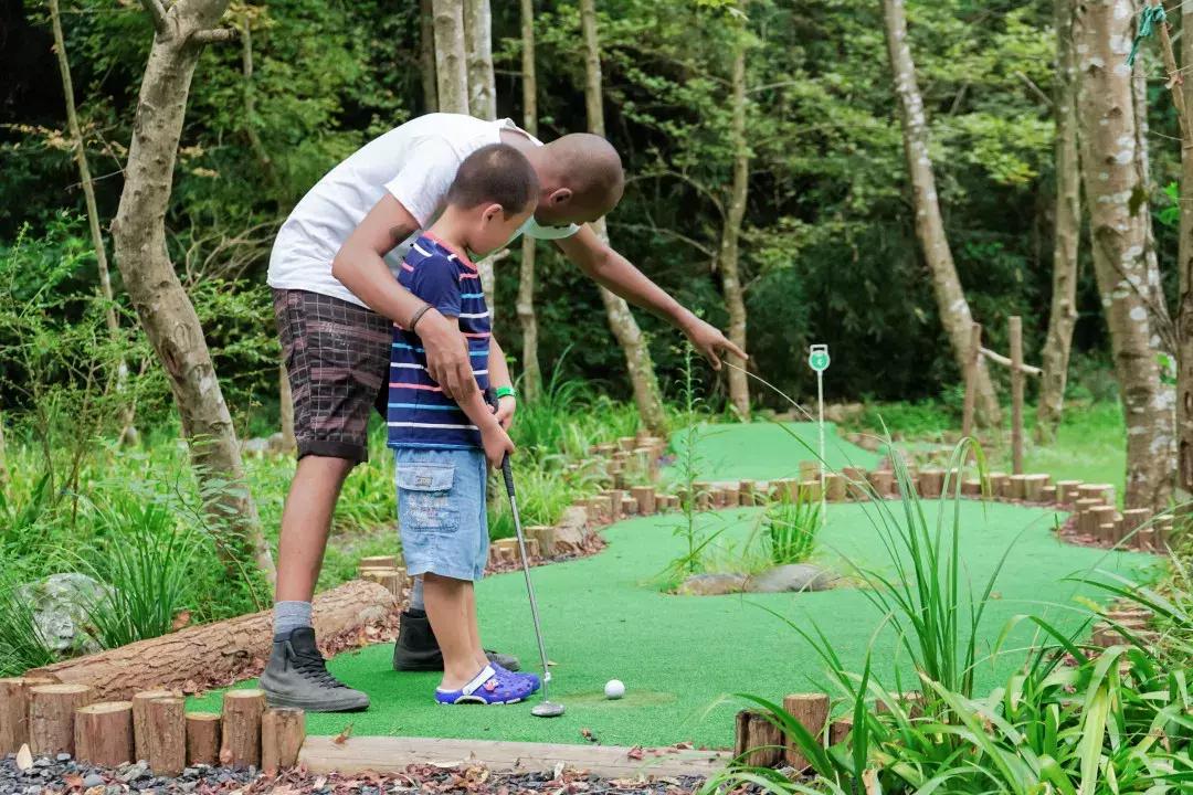 这片媲美京都的红叶之森只藏15栋梦幻树屋，杭州1.5h直达！