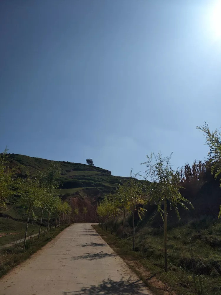 大墩峡景区玻璃栈道,心灵之旅免费完整版