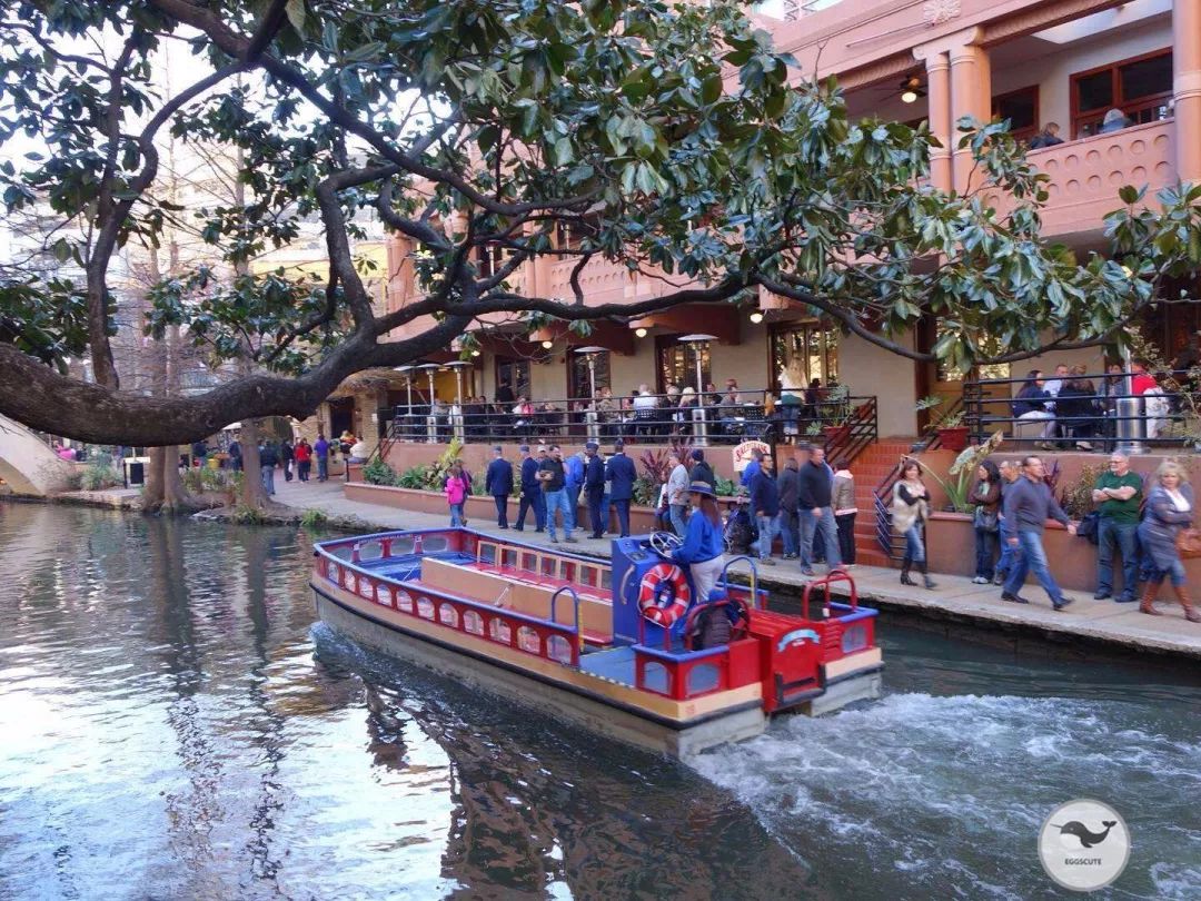 全美最值得去的城市,美国旅游十大城市