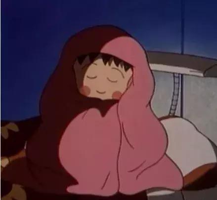 蚕丝被羽绒被棉花被到底哪个最好,棉被蚕丝被羽绒被羊毛被哪个好