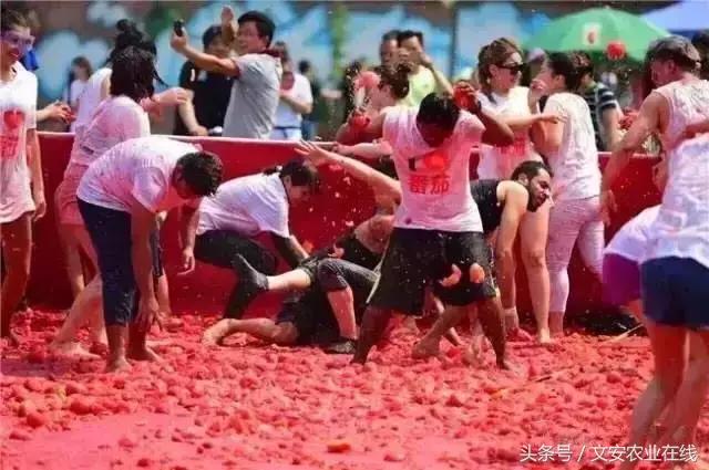 番茄联合国,番茄联合国主题园区