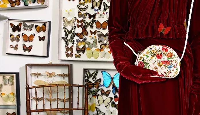 女人买名牌包的心理,女人买包完整版