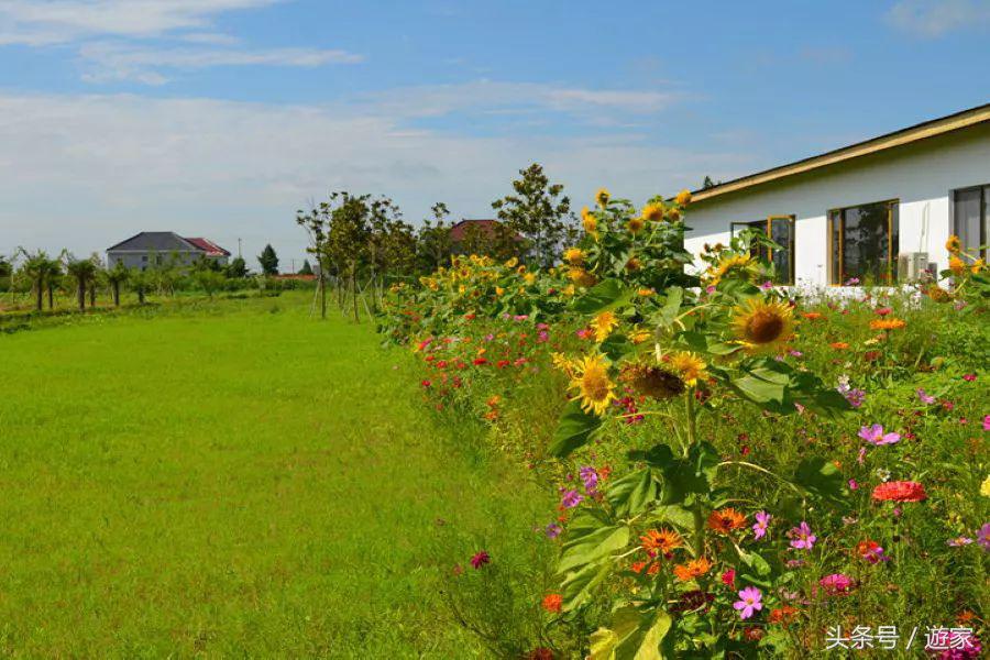 上海适合带孩子玩的农场,上海最好的亲子农场