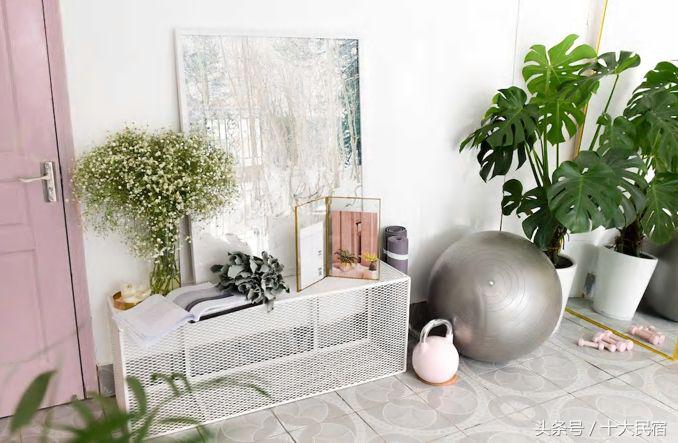 苏州比较推荐的民宿,苏州有哪些民宿值得推荐